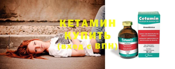 хмурый Верея