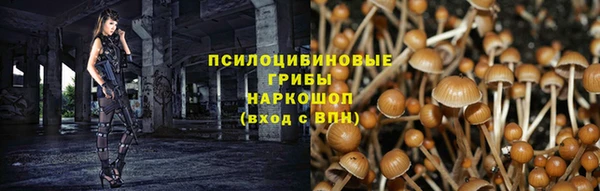 прущие крисы Волосово