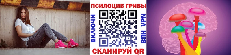 Галлюциногенные грибы GOLDEN TEACHER Купить где Альметьевск